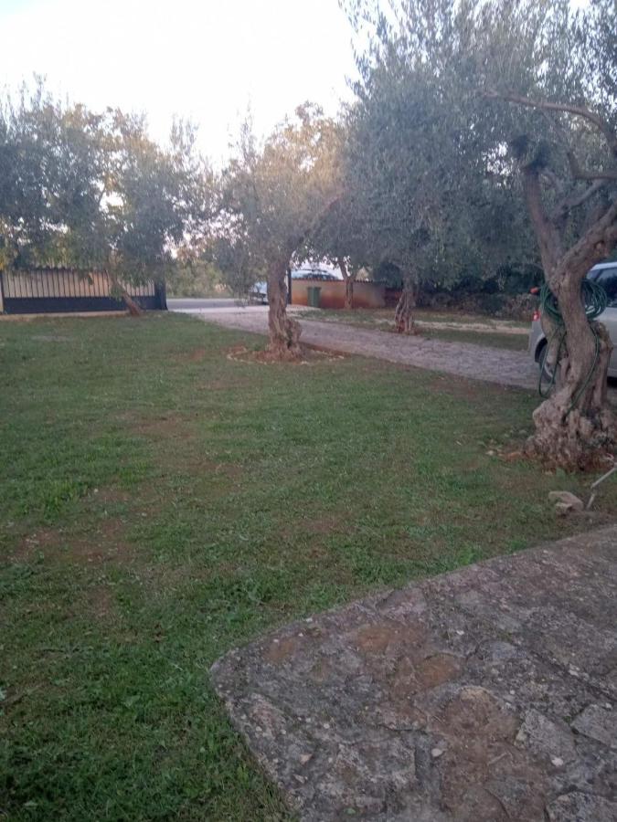 Apartman Krcina Krnica Luaran gambar