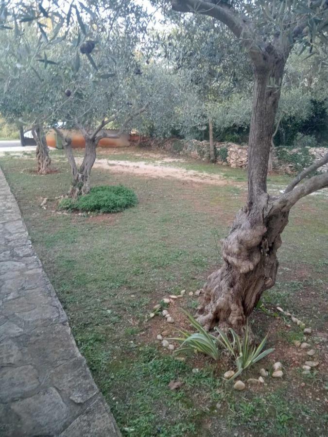 Apartman Krcina Krnica Luaran gambar